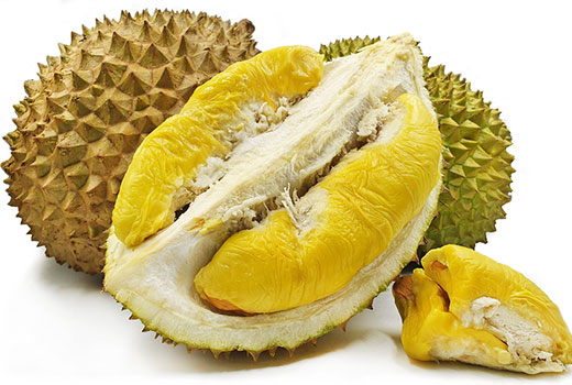 Usaha Budidaya Durian Musang King