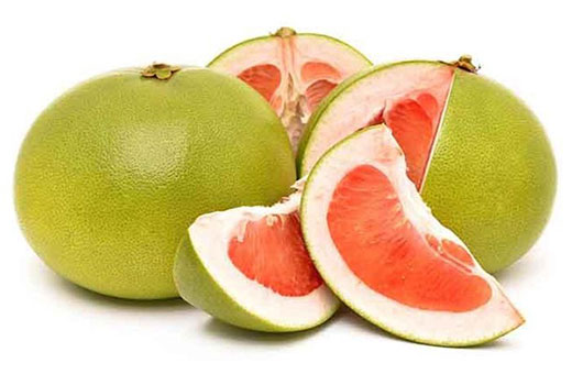 Usaha Budidaya Jeruk Bali